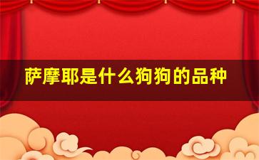 萨摩耶是什么狗狗的品种