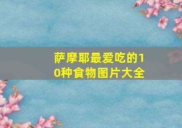 萨摩耶最爱吃的10种食物图片大全