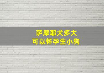 萨摩耶犬多大可以怀孕生小狗