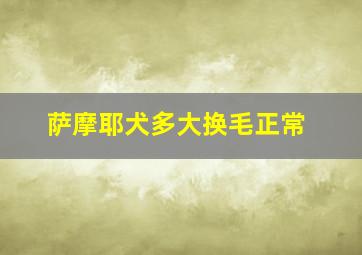 萨摩耶犬多大换毛正常