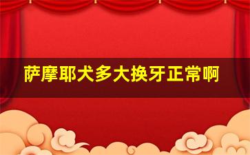 萨摩耶犬多大换牙正常啊