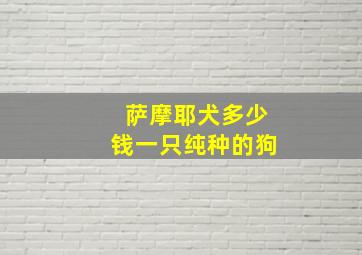 萨摩耶犬多少钱一只纯种的狗