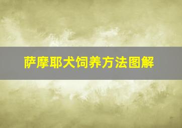 萨摩耶犬饲养方法图解