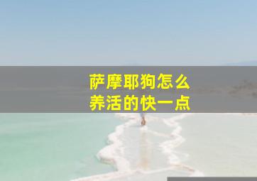 萨摩耶狗怎么养活的快一点