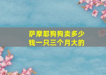 萨摩耶狗狗卖多少钱一只三个月大的