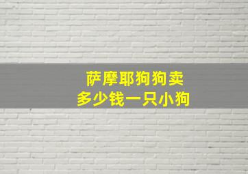 萨摩耶狗狗卖多少钱一只小狗