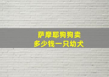 萨摩耶狗狗卖多少钱一只幼犬