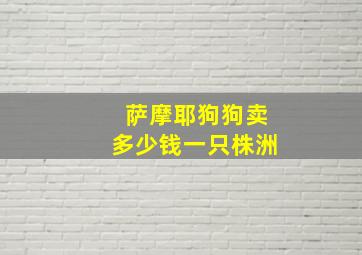 萨摩耶狗狗卖多少钱一只株洲