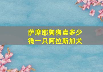 萨摩耶狗狗卖多少钱一只阿拉斯加犬