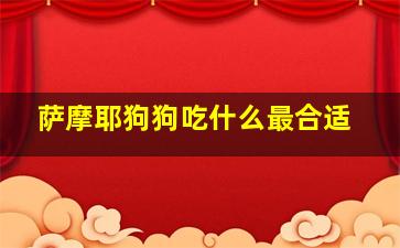 萨摩耶狗狗吃什么最合适