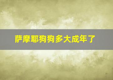 萨摩耶狗狗多大成年了