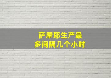 萨摩耶生产最多间隔几个小时