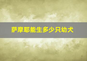 萨摩耶能生多少只幼犬