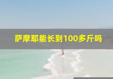 萨摩耶能长到100多斤吗