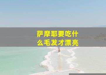 萨摩耶要吃什么毛发才漂亮