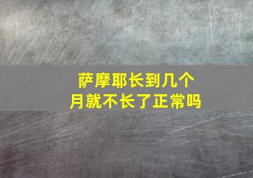 萨摩耶长到几个月就不长了正常吗