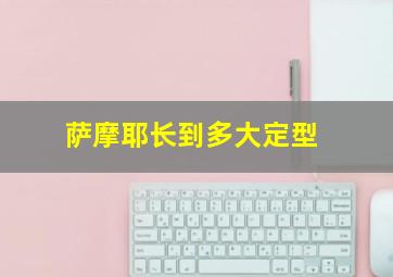 萨摩耶长到多大定型