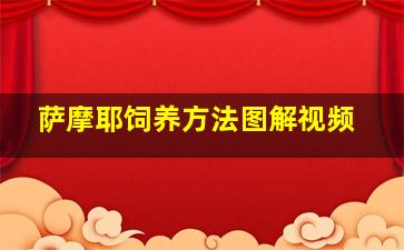 萨摩耶饲养方法图解视频