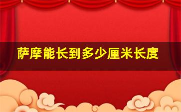 萨摩能长到多少厘米长度