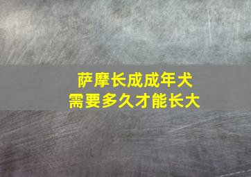 萨摩长成成年犬需要多久才能长大