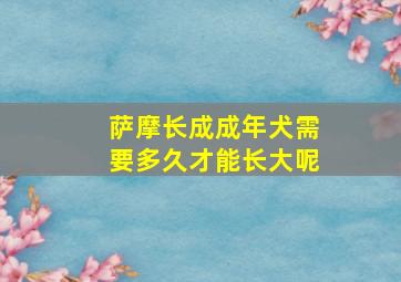 萨摩长成成年犬需要多久才能长大呢