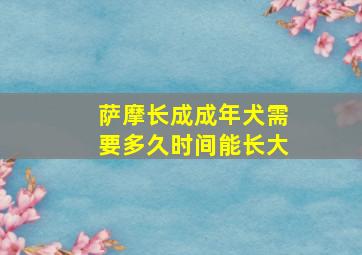 萨摩长成成年犬需要多久时间能长大