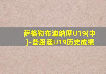 萨格勒布迪纳摩U19(中)-些路迪U19历史成绩