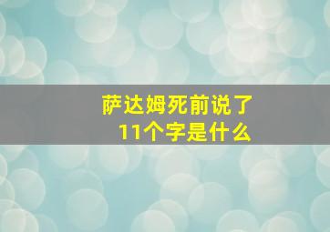 萨达姆死前说了11个字是什么