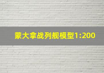 蒙大拿战列舰模型1:200