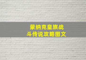 蒙纳克皇族战斗传说攻略图文