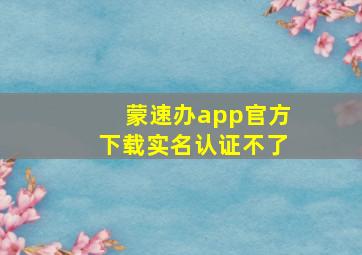 蒙速办app官方下载实名认证不了