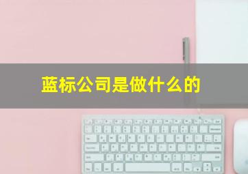 蓝标公司是做什么的