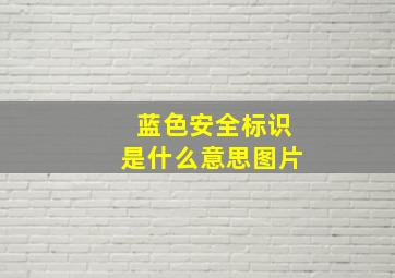 蓝色安全标识是什么意思图片