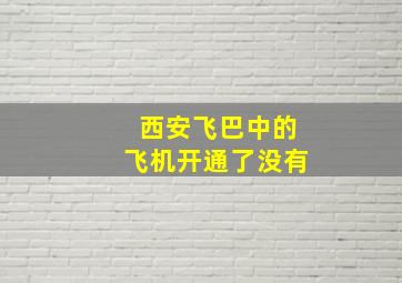 西安飞巴中的飞机开通了没有