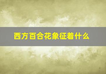 西方百合花象征着什么