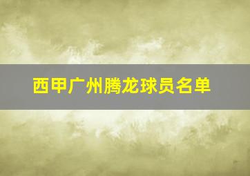 西甲广州腾龙球员名单