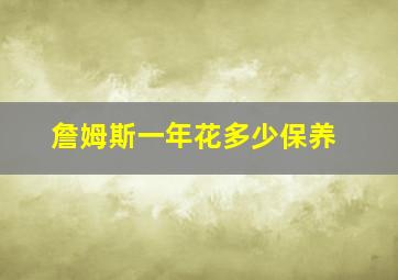 詹姆斯一年花多少保养