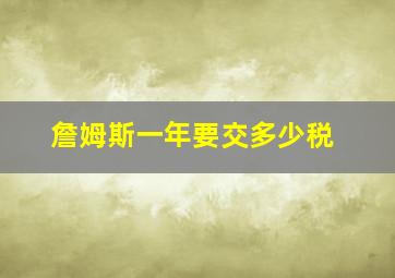 詹姆斯一年要交多少税