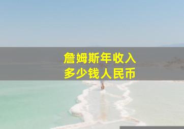 詹姆斯年收入多少钱人民币