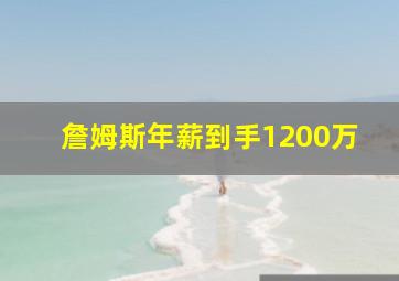 詹姆斯年薪到手1200万