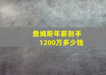 詹姆斯年薪到手1200万多少钱