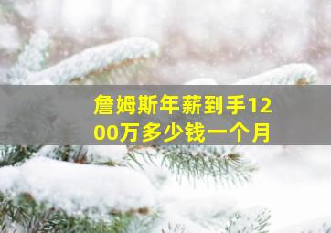 詹姆斯年薪到手1200万多少钱一个月