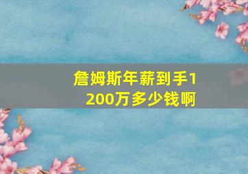 詹姆斯年薪到手1200万多少钱啊