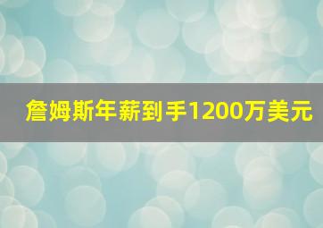 詹姆斯年薪到手1200万美元