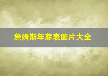 詹姆斯年薪表图片大全