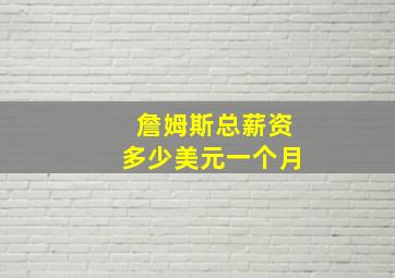 詹姆斯总薪资多少美元一个月