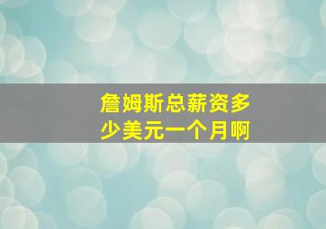 詹姆斯总薪资多少美元一个月啊