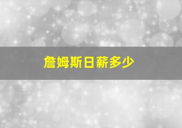 詹姆斯日薪多少