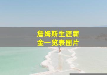 詹姆斯生涯薪金一览表图片