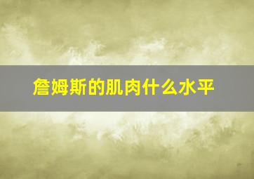 詹姆斯的肌肉什么水平